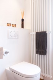 DL 2180 x 10 MR радиатор трубчатый Delta Laserline